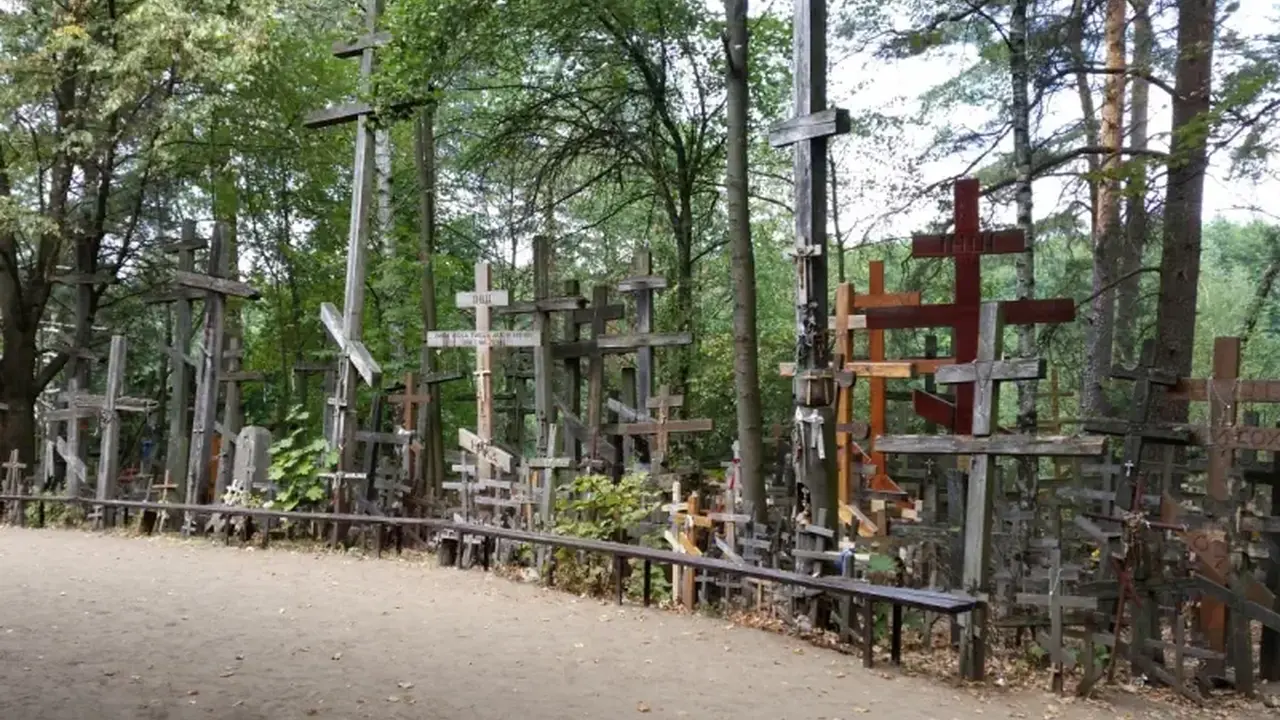 PODLASIE - 1 dzień