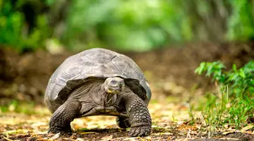 Podróż przez serce Latynoameryki