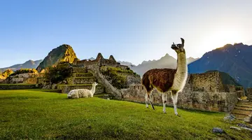 Podróż życia - zwiedzanie Peru, Kolumbii, Brazylii