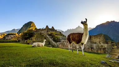 Podróż życia - zwiedzanie Peru, Kolumbii, Brazylii