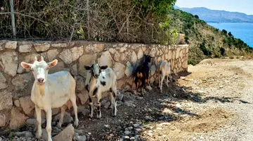 Podróże ze Smakiem - Albania