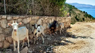 Podróże ze Smakiem - Albania