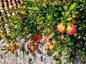 Podróże ze Smakiem - Albania