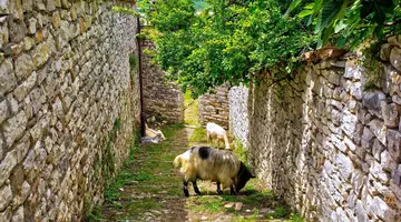 Podróże ze Smakiem - Albania