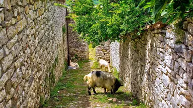 Podróże ze Smakiem - Albania