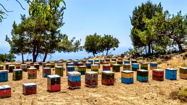 Podróże ze Smakiem - Kreta