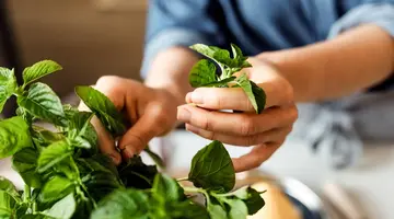 Podróże ze Smakiem - Kreta