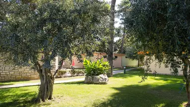 POKOJE MEDITERANSKO SELO SAN ANTONIO***