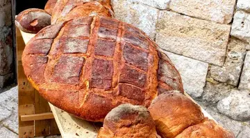 Południe Na Dzień Dobry