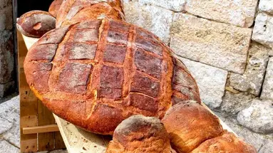 Południe Na Dzień Dobry