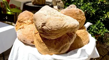 Południe Na Dzień Dobry