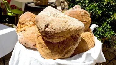 Południe Na Dzień Dobry