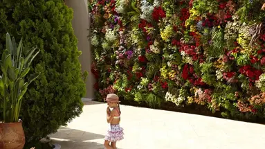 Pomegranate Wellness Spa Hotel