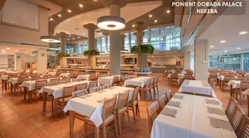 Ponient Dorada Palace by PortAventura World