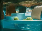 Pontiana Thalasso