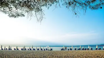 Port Marina