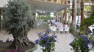 Port Side Resort
