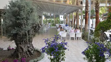Port Side Resort