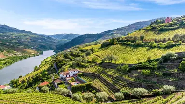 Porto Express
