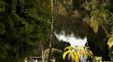PortoBay Falesia