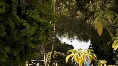 PortoBay Falesia