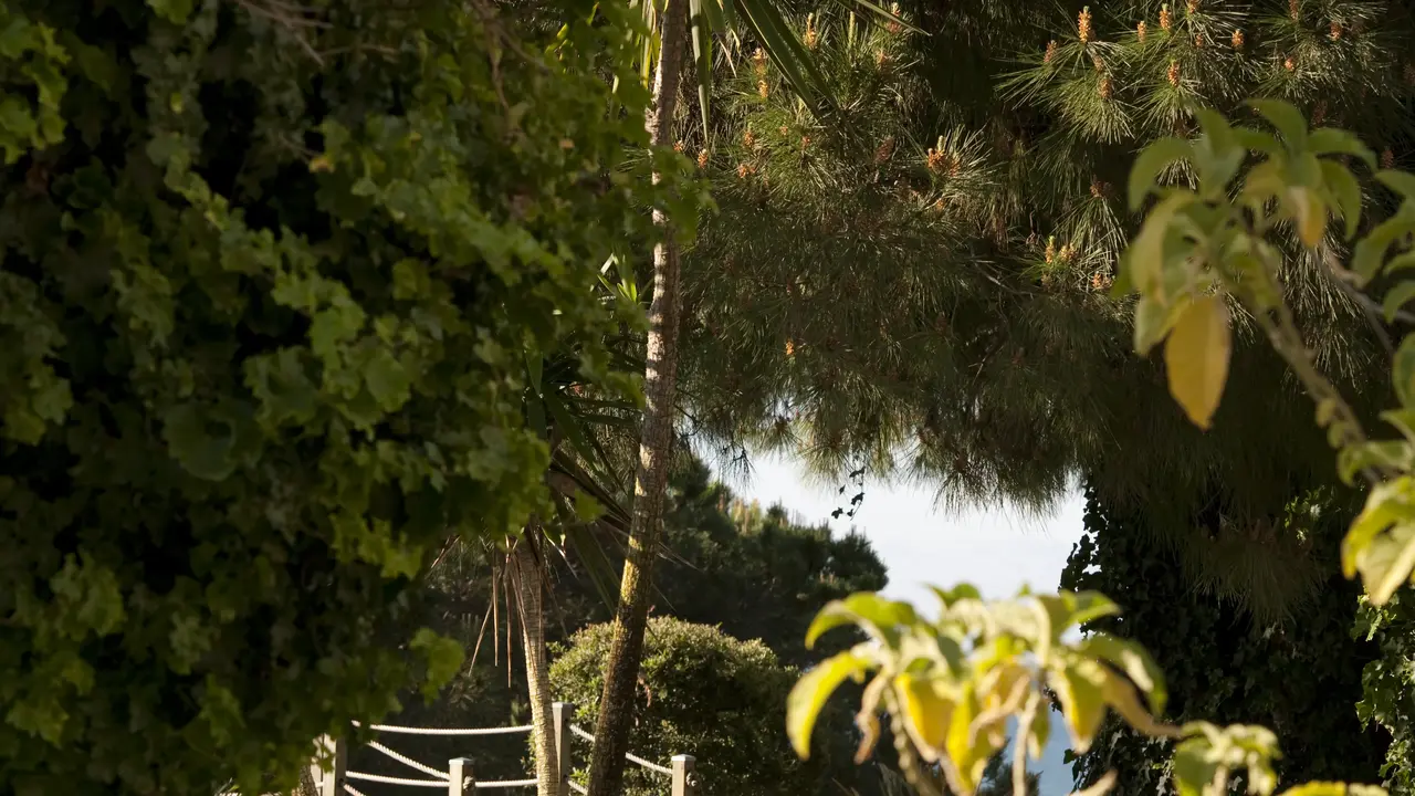 PortoBay Falesia