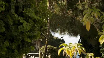 PortoBay Falesia