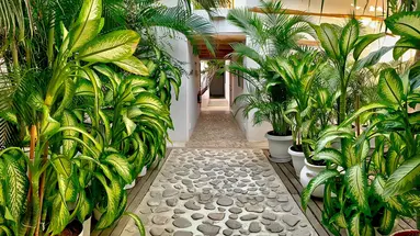 Posada Malibu