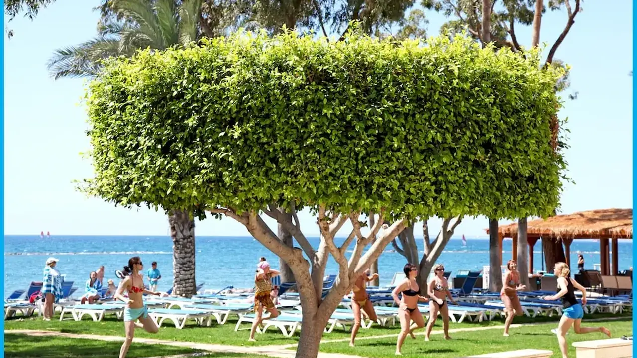 Poseidonia Beach Hotel