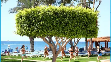 Poseidonia Beach Hotel