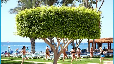 Poseidonia Beach Hotel