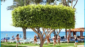 Poseidonia Beach Hotel