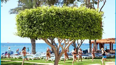 Poseidonia Beach Hotel
