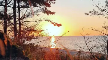 Posesja Plażowa by Posesja Apartamenty