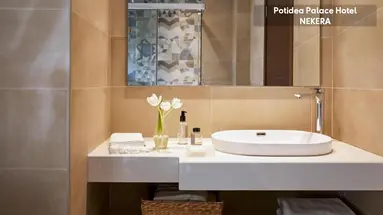 POTIDEA PALACE HOTEL