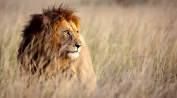 Powitanie z Afryka + Bamburi Beach 