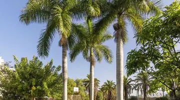 Precise Resort Tenerife