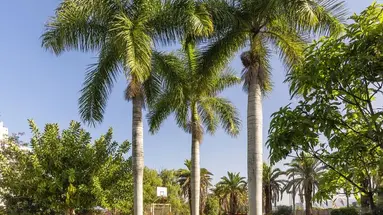 Precise Resort Tenerife