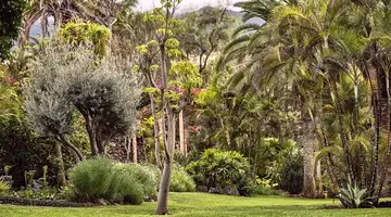 Precise Resort Tenerife