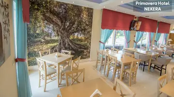 Primavera Hotel