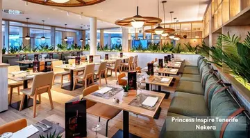 PRINCESS INSPIRE TENERIFE ADULTS ONLY 16+