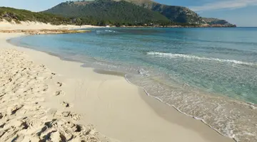 PRINSOTEL LA PINEDA