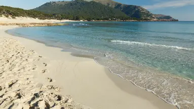 PRINSOTEL LA PINEDA