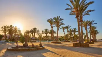 Protels Crystal Beach