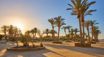 Protels Crystal Beach