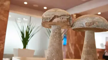 Protur Bonamar Hotel - Adults Only