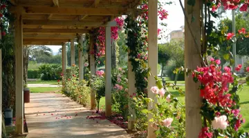 Protur Sa Coma Playa Hotel & Spa