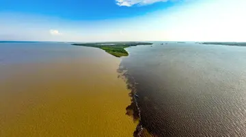 Przygoda W Amazonii!