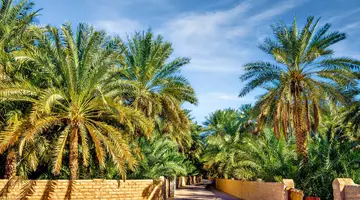Przygoda z szejkiem z Abu Dhabi