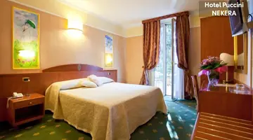 PUCCINI HOTEL
